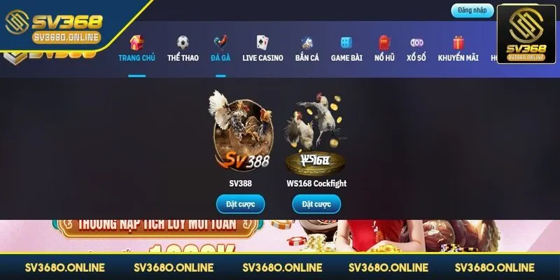 Đăng nhập SV368 - Chinh phục game online và nhận thưởng 3 Bạn cần đảm bảo đường truyền ổn định khi đăng nhập